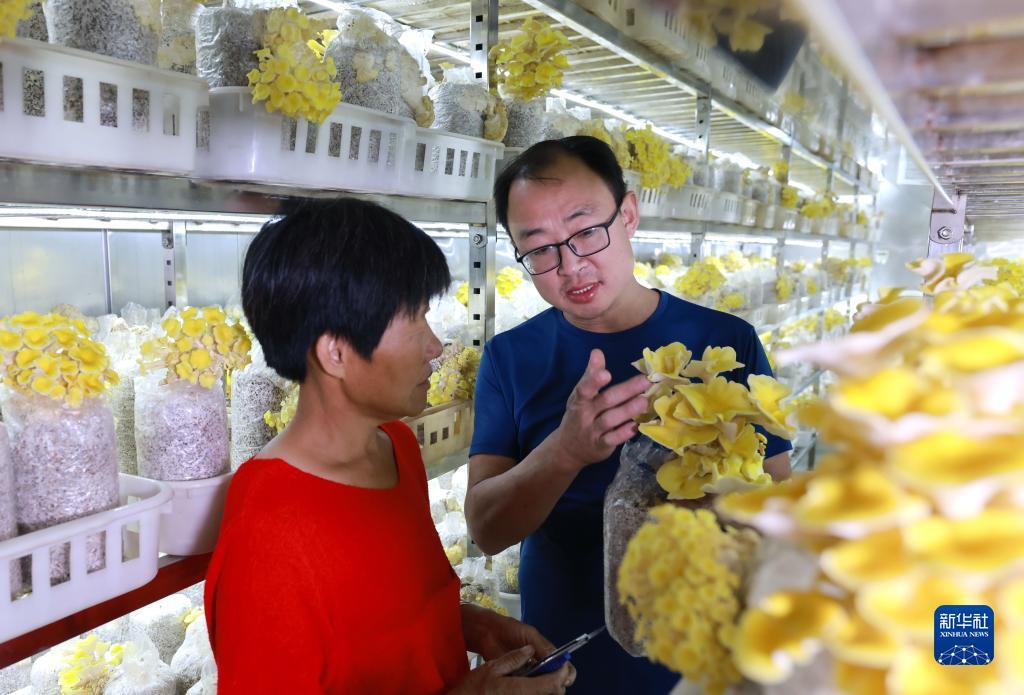 永利电游官网